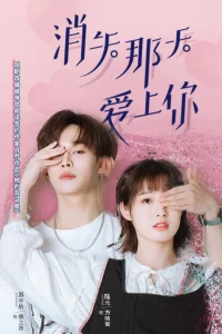  Исчезающая любовь 