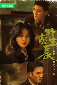  Дикий цветок 