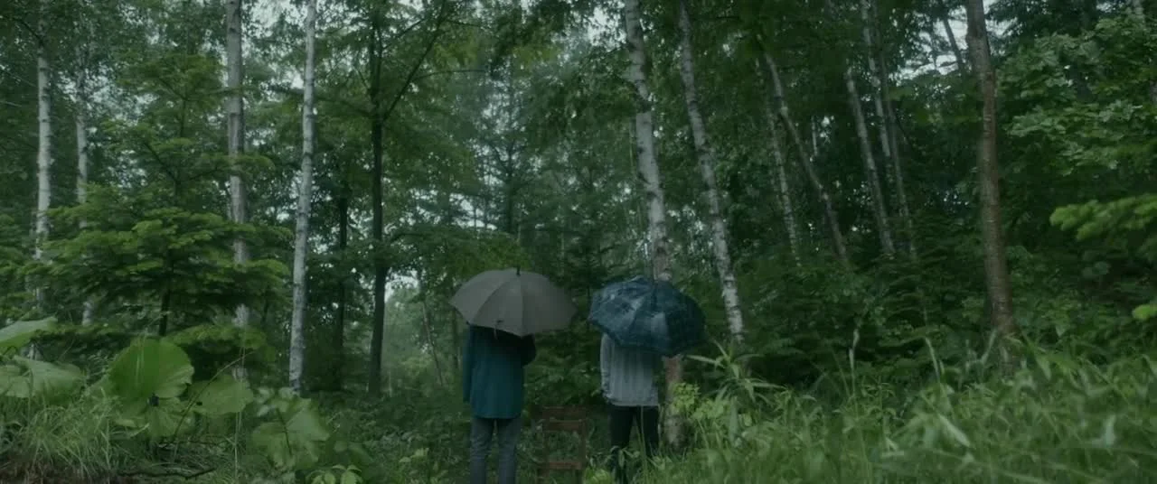 Лес из шерсти и стали