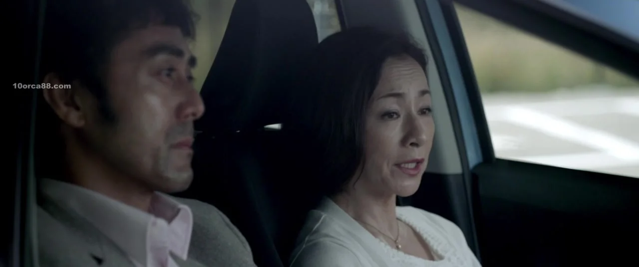 Лир на берегу