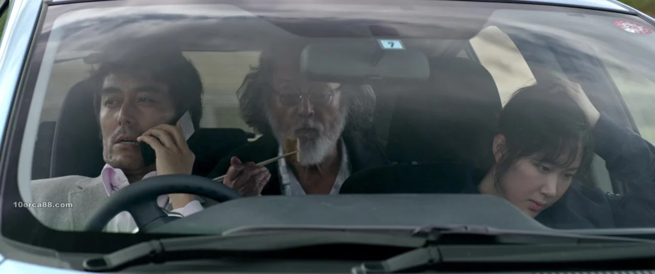 Лир на берегу