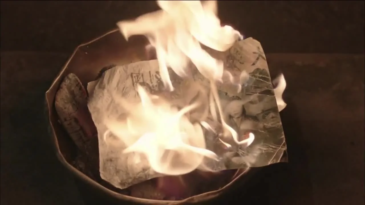 Плохой вор, хороший вор