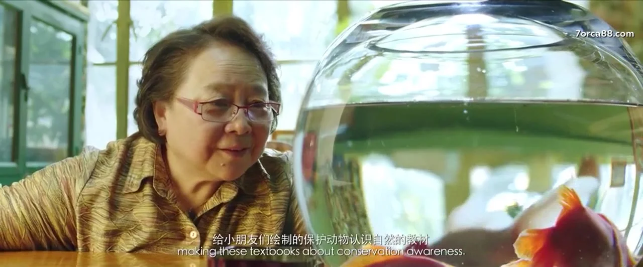 Мой дорогой слон