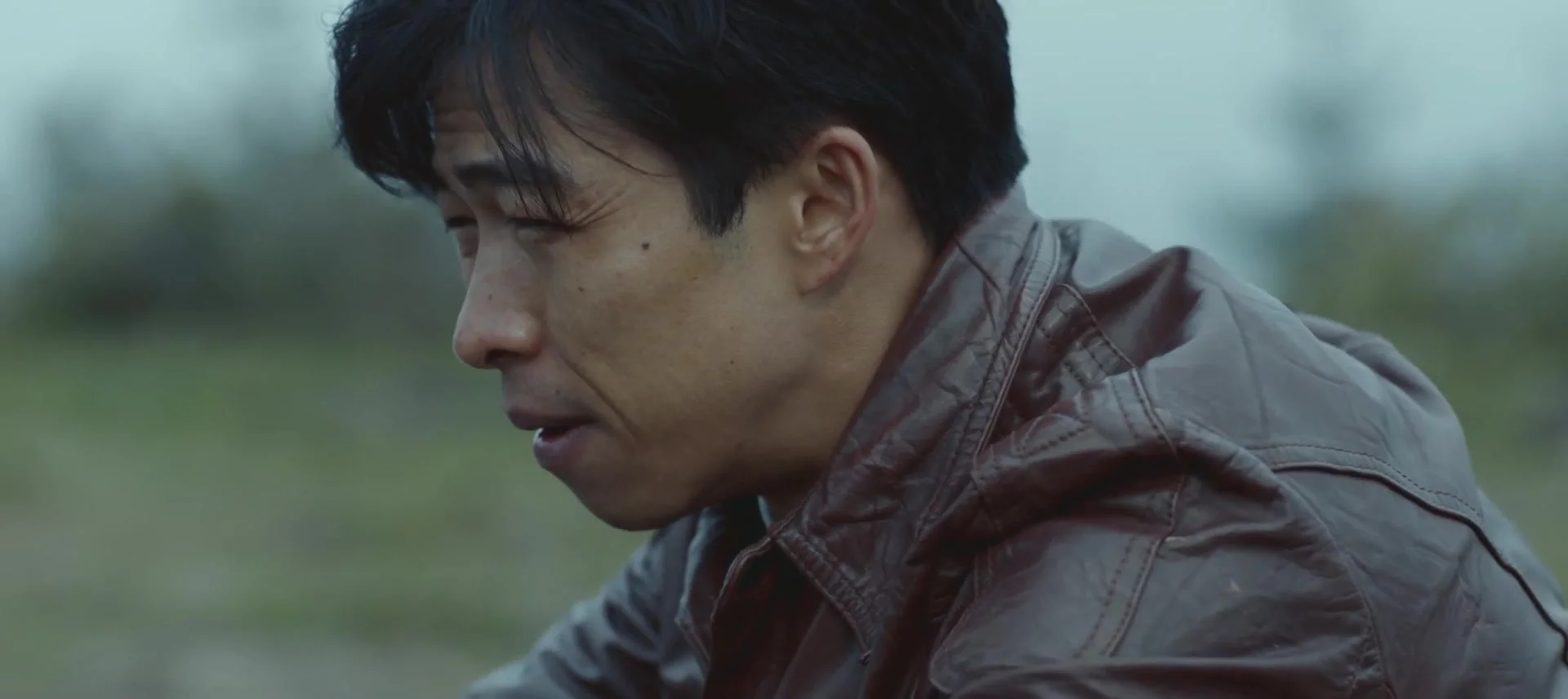 Повесть без слов