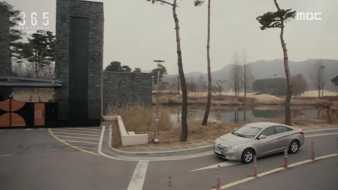 365: Год победы над судьбой