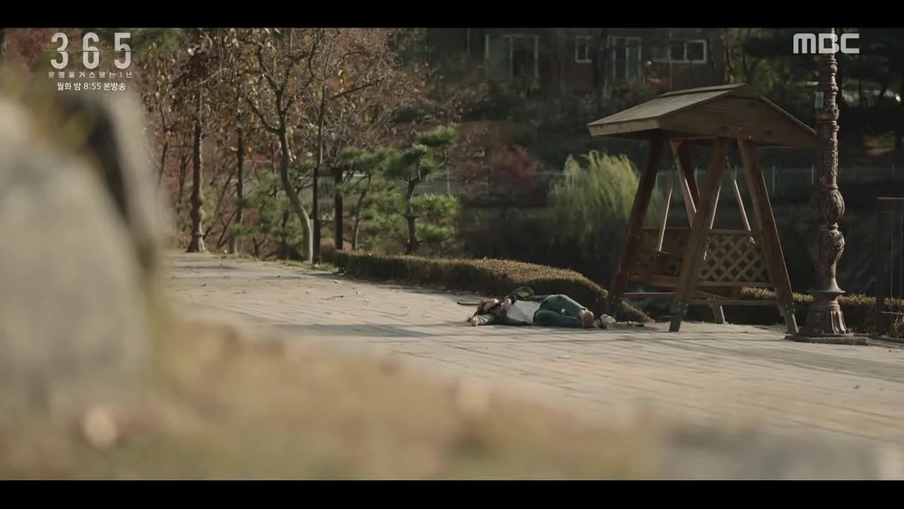 365: Год победы над судьбой