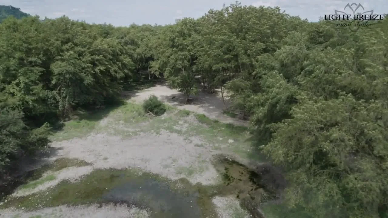 Радость жизни