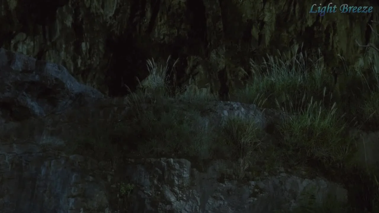 Путь меча среди снегов