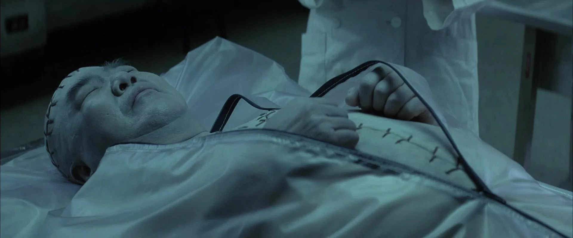 Двойное видение