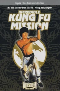  Невероятная миссия Кунг-фу 