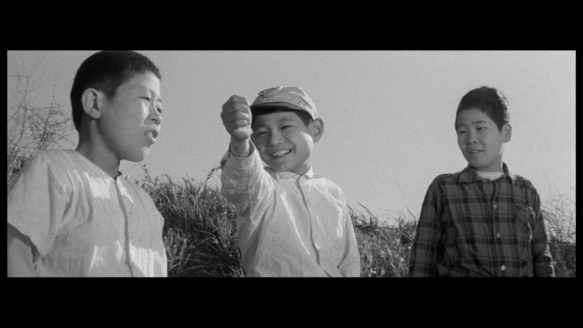 Город купола