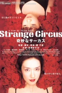  Странный цирк 