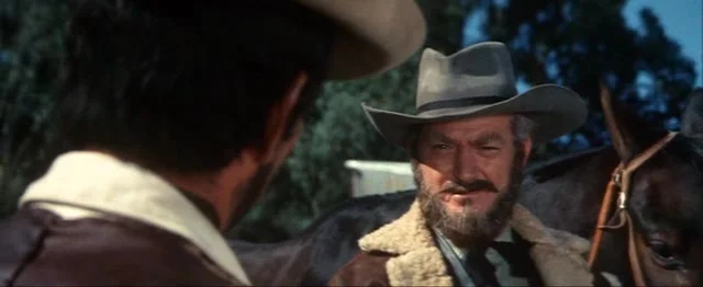 Странствующий мститель