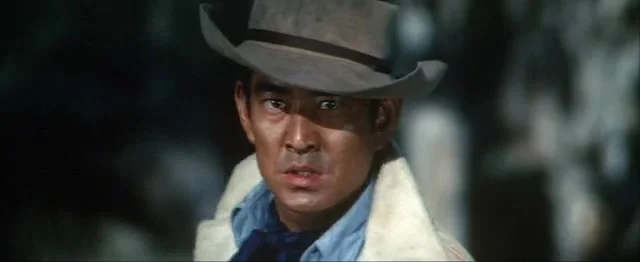 Странствующий мститель