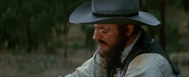 Странствующий мститель