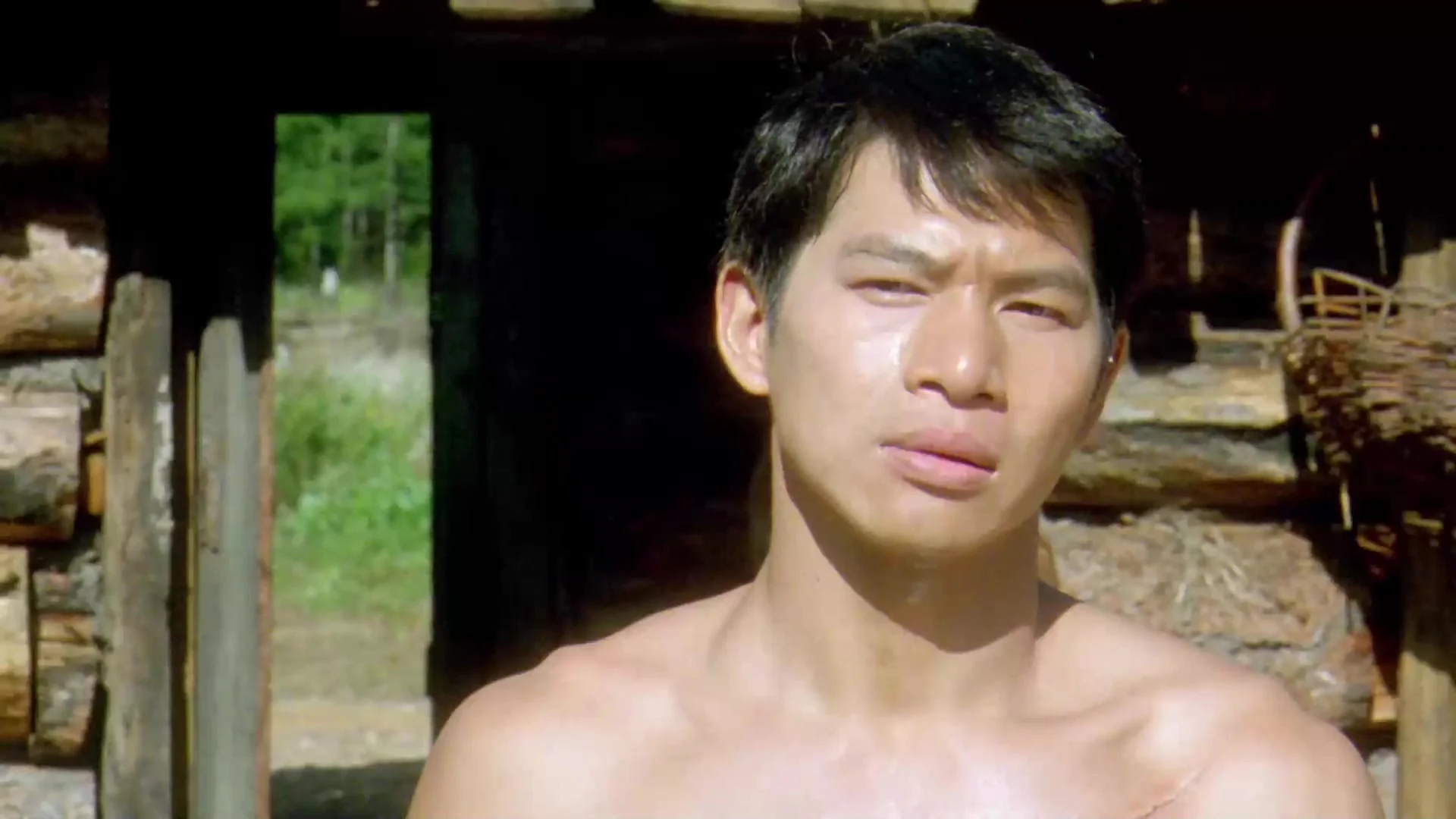 Железная сестра