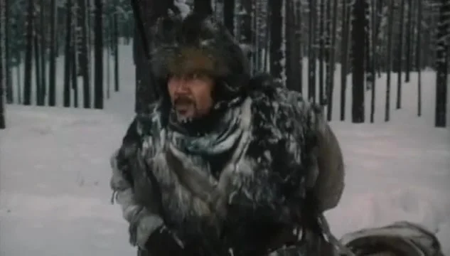 Под северным сиянием