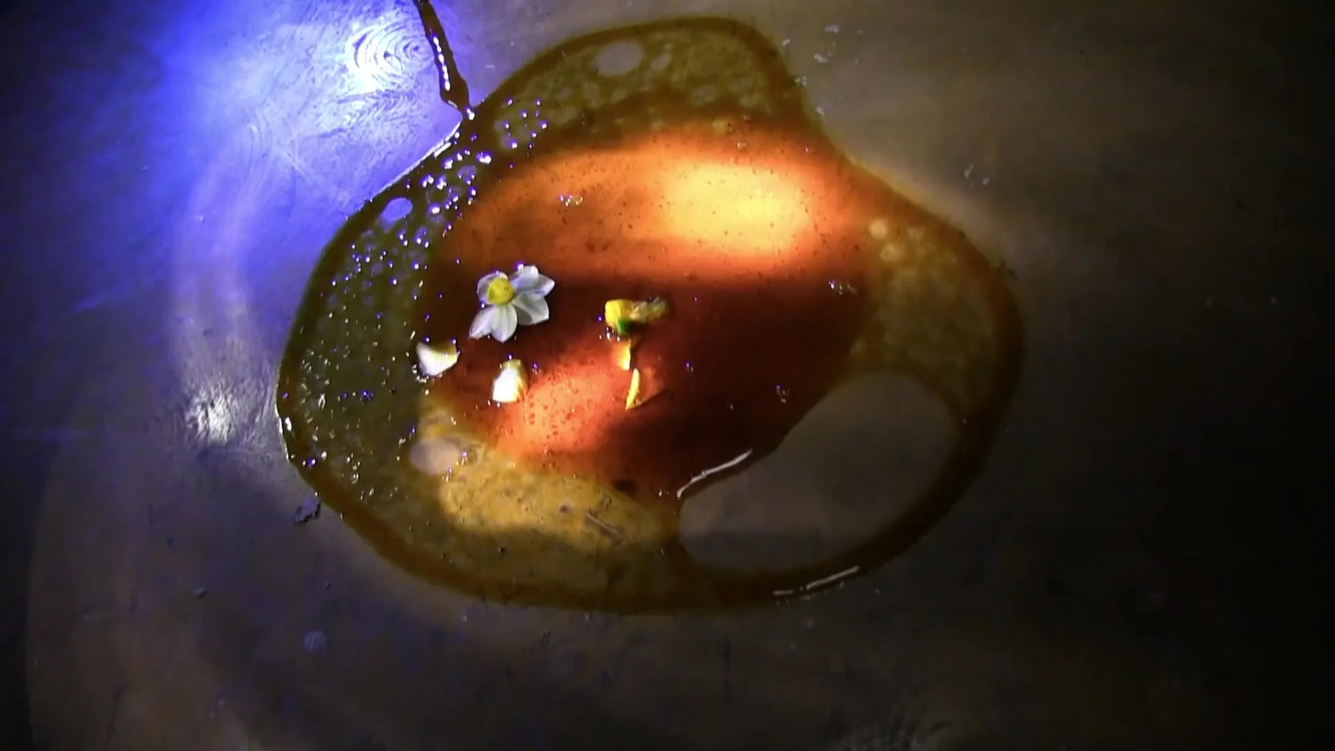 Ужасающие материалы, файл 2: Дрожащий призрак