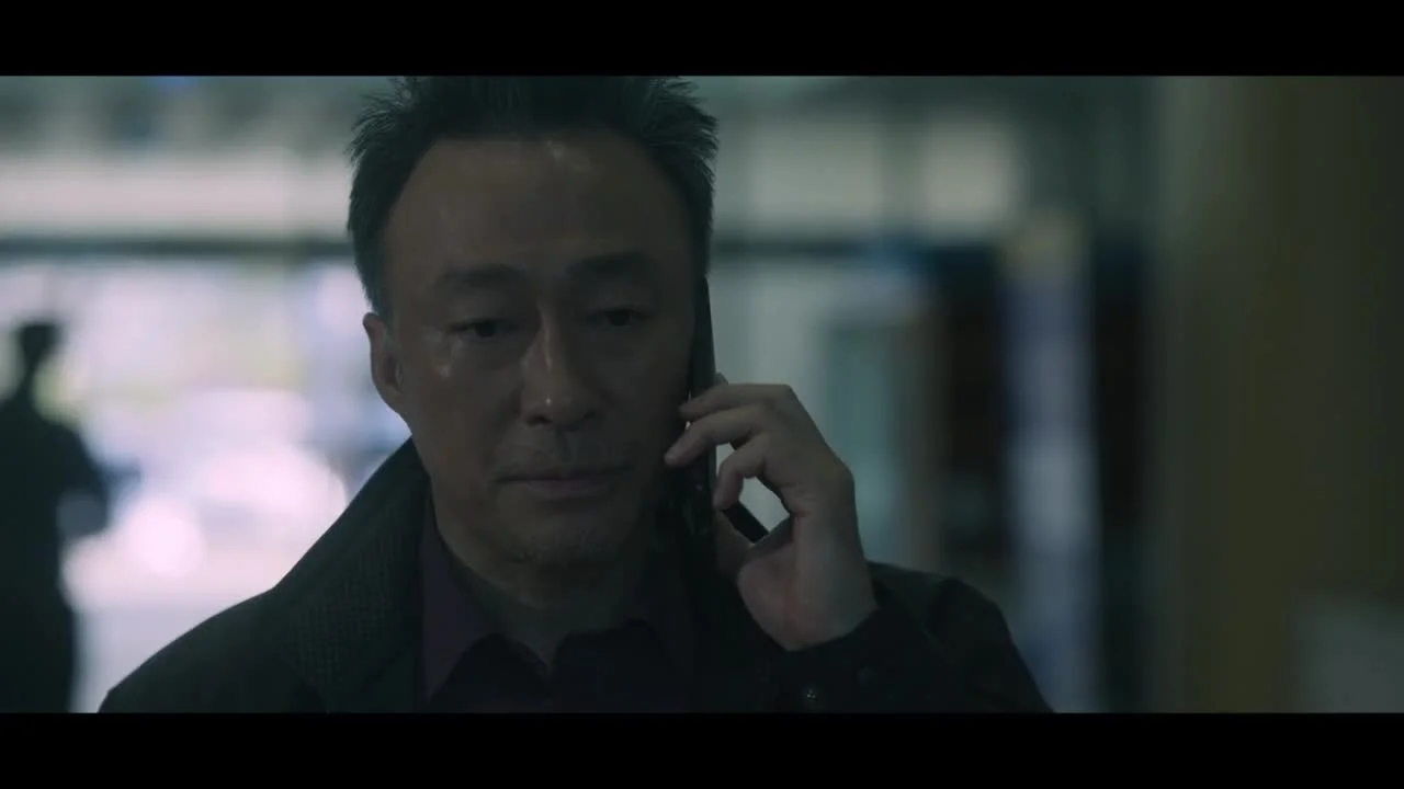 Теневой детектив