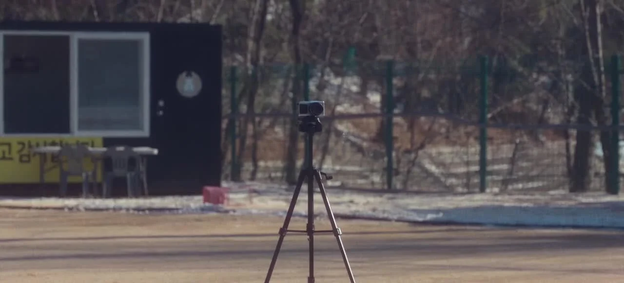 Мой милый боксёр