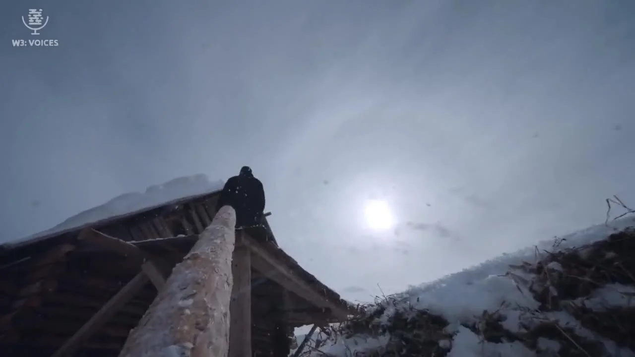 Дорога домой