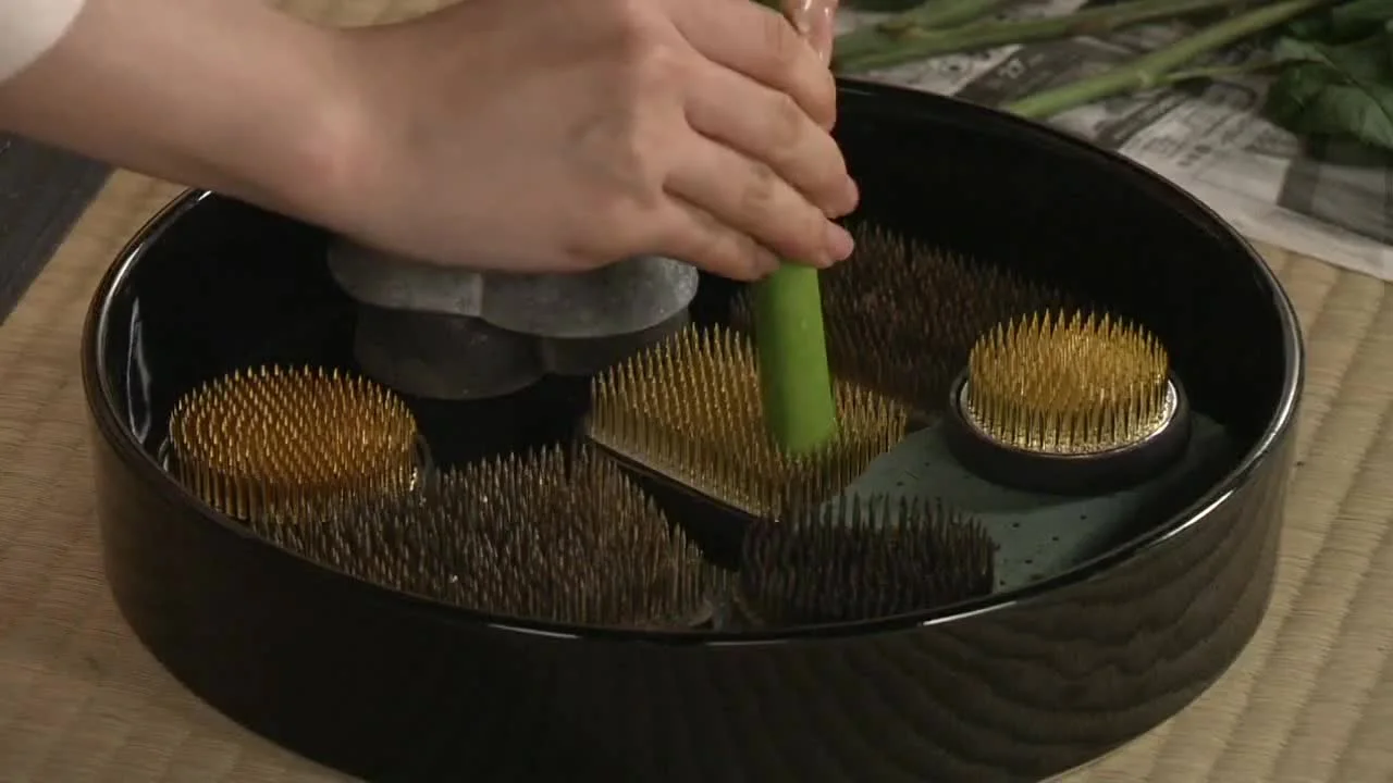 Я замужем в аду!