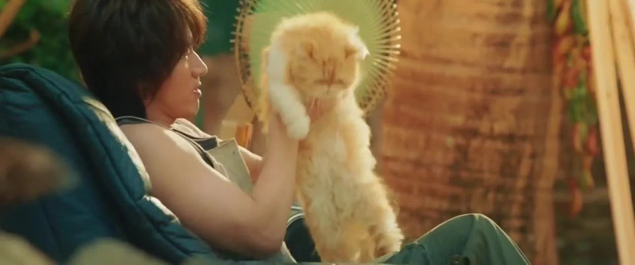 Летние цветы