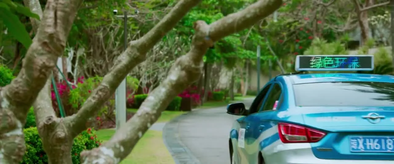 Летние цветы