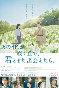  Если бы мы снова встретились на том холме, где цветут лилии 