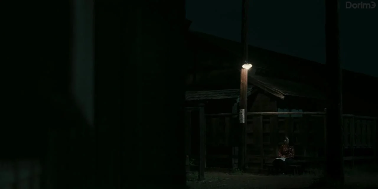 Если бы мы снова встретились на том холме, где цветут лилии