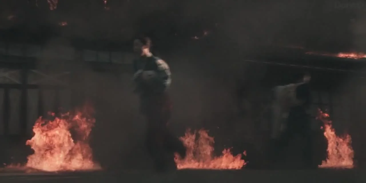 Если бы мы снова встретились на том холме, где цветут лилии