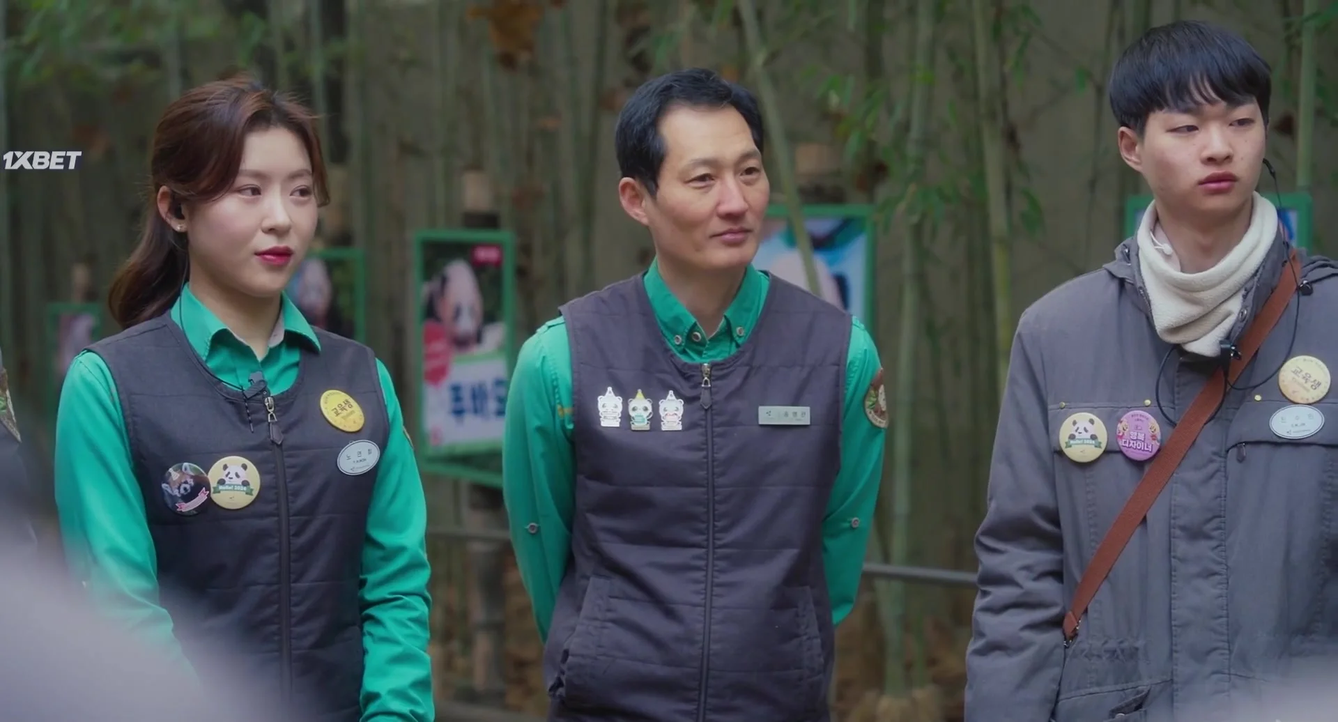 Мой друг панда