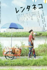  Кошка напрокат 