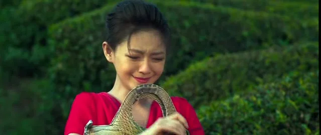 Крокодил на миллион долларов