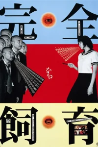  Идеальное образование 