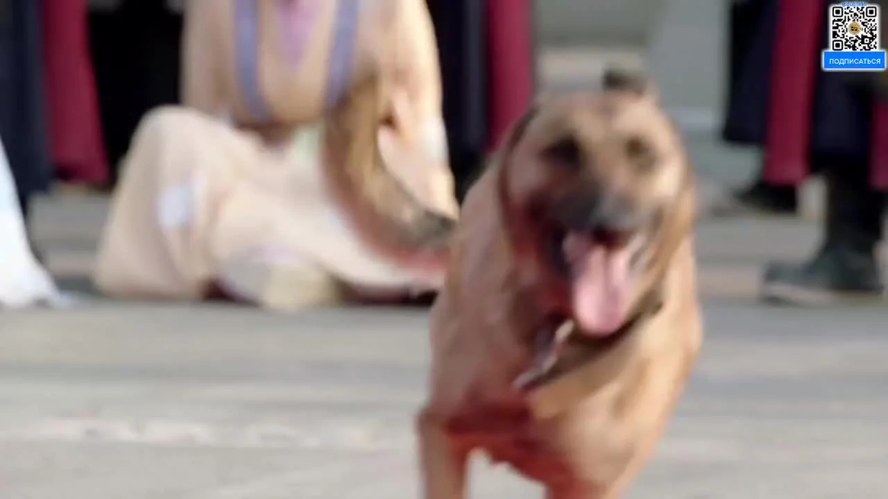 Долгая песнь