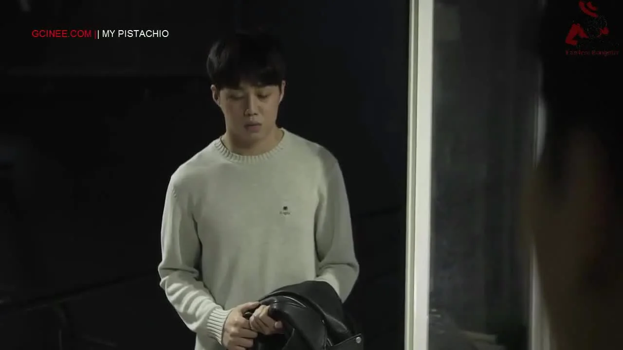 Моя фисташка