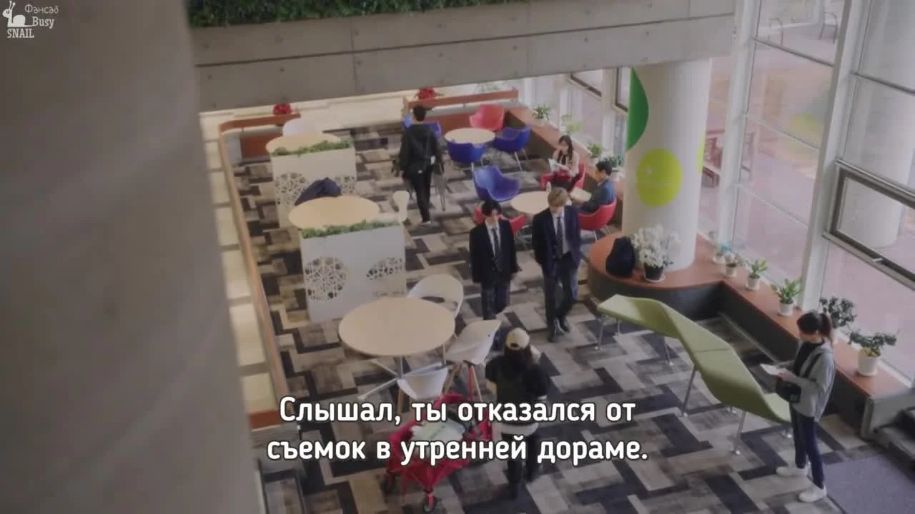 Добро пожаловать, Шибуя-кун