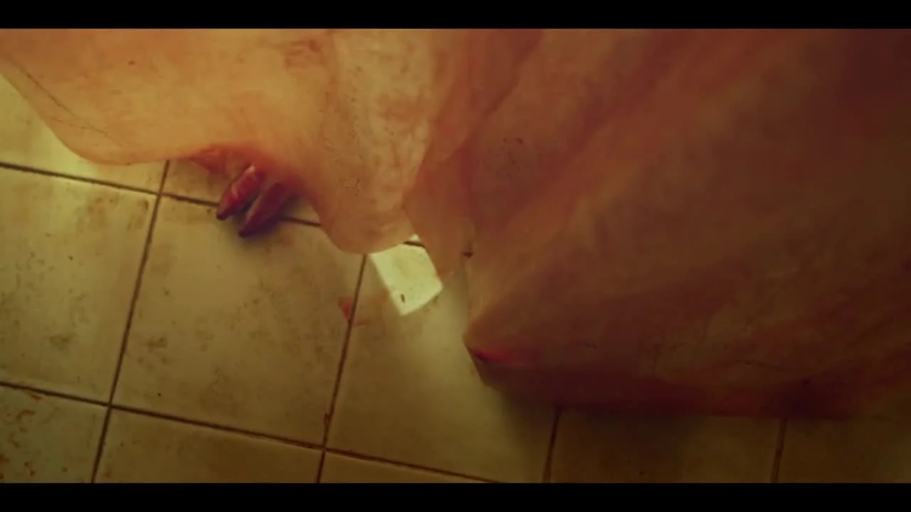 Персона: Солли