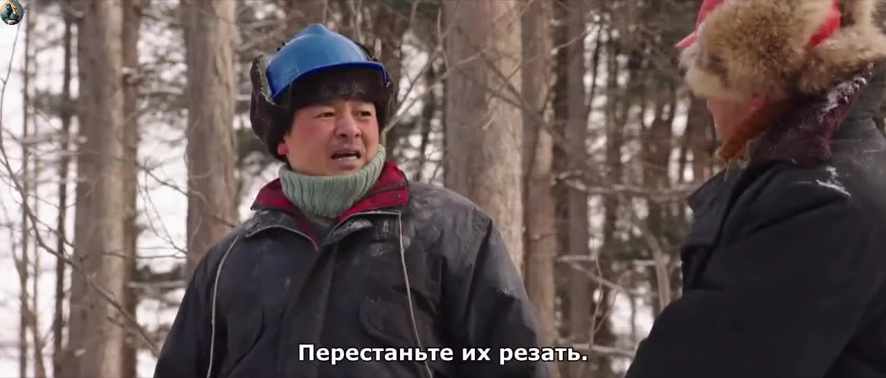 Долгий путь домой