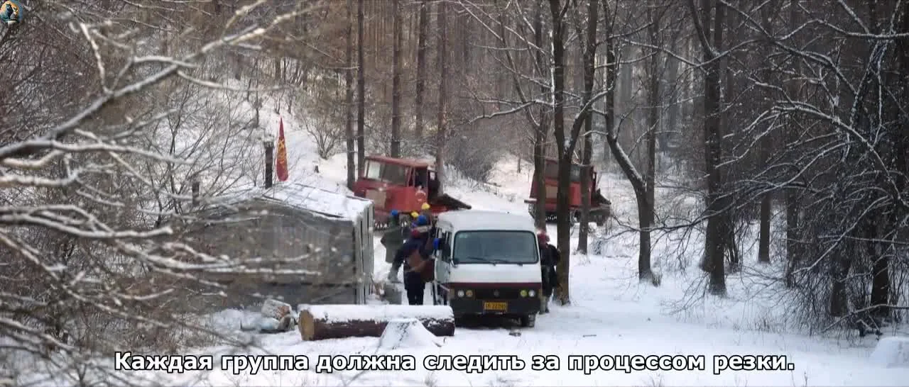 Долгий путь домой