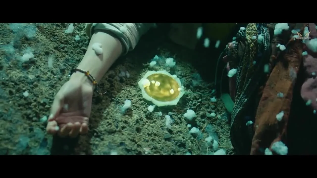 Мечта в зеркале