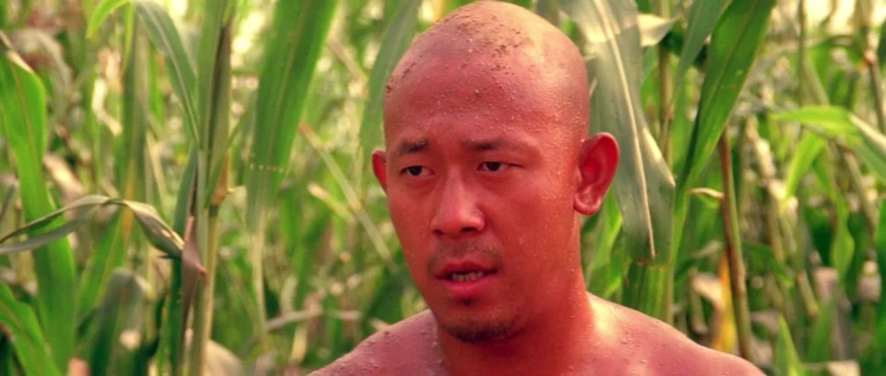 Красный гаолян