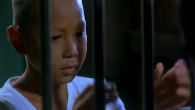 Прекрасный боксер