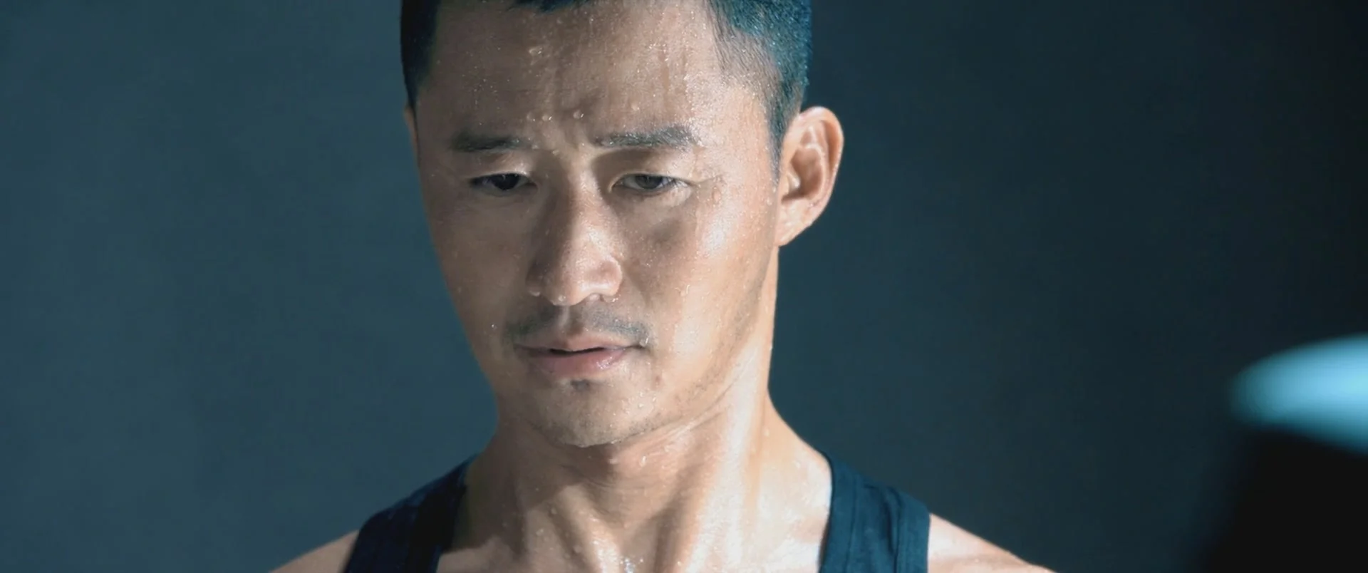 Война волков