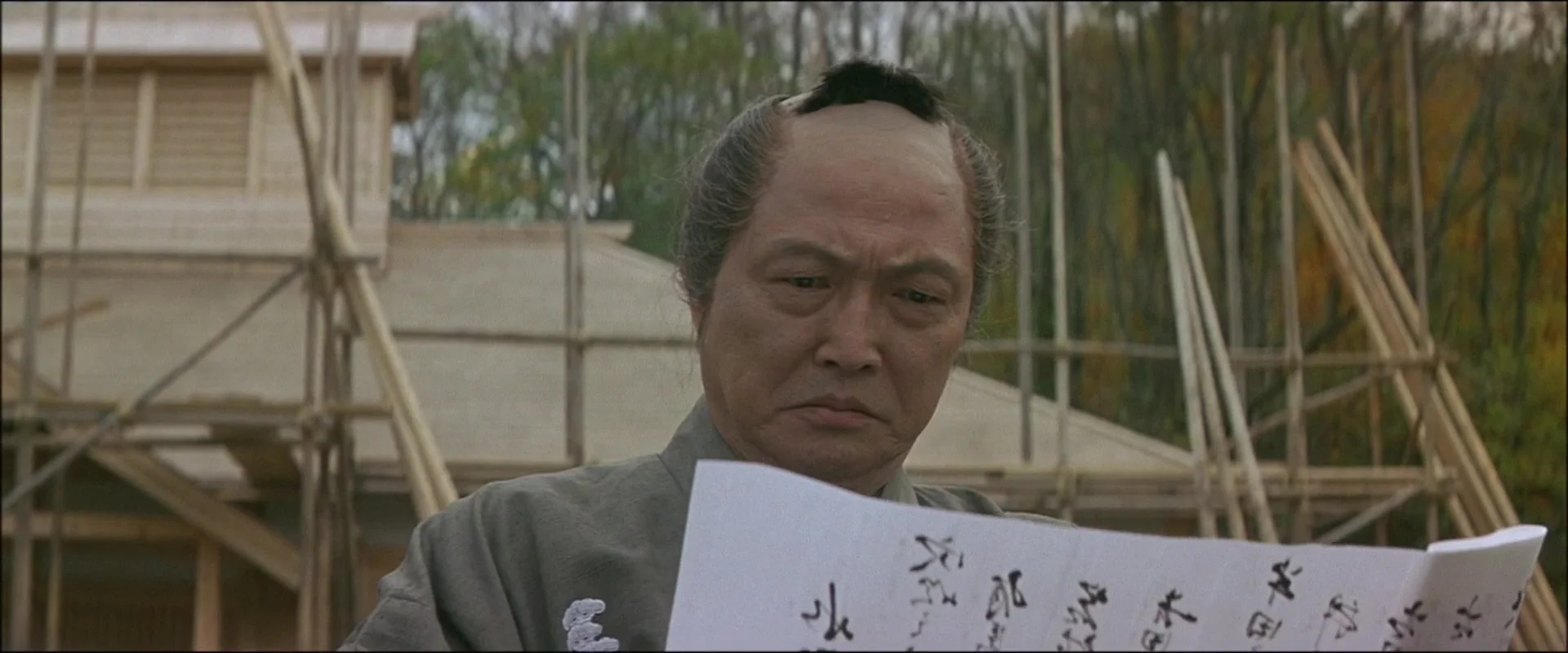 Первый год на севере