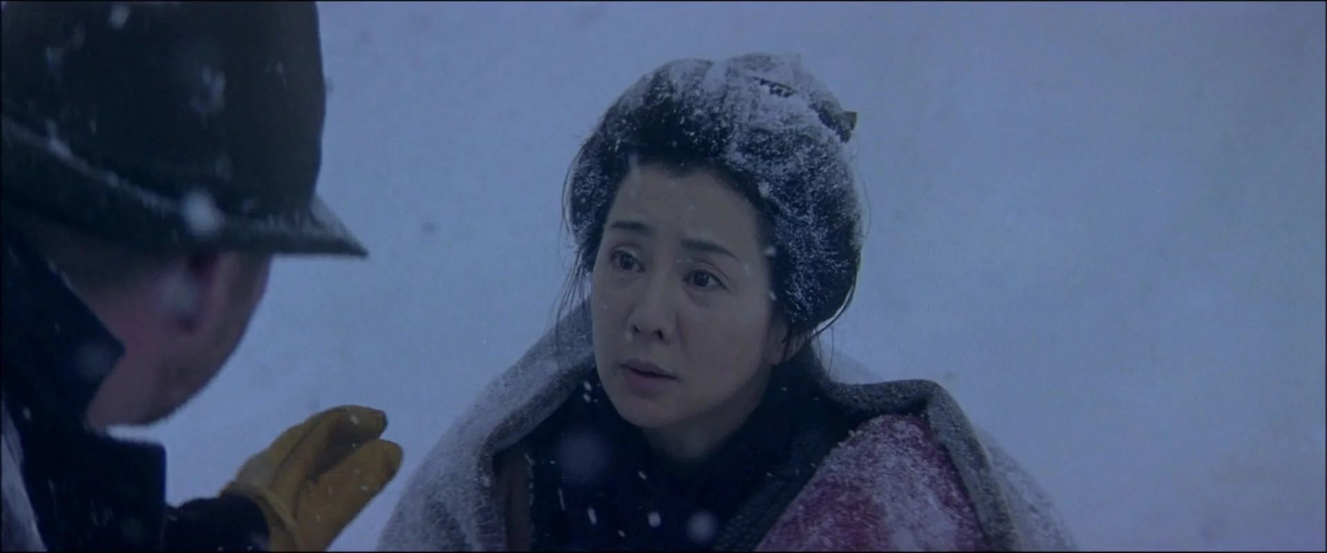 Первый год на севере