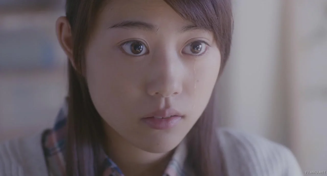 Иллюстрированная книга растений