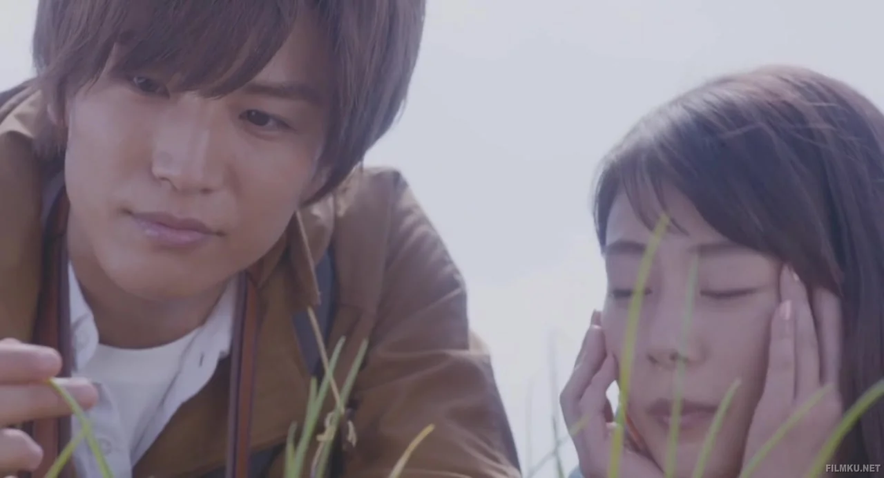 Иллюстрированная книга растений