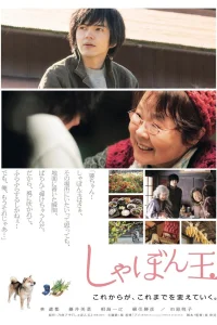  Мыльный пузырь 